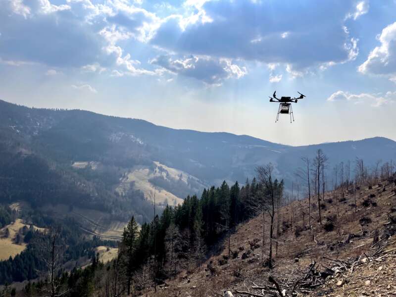 Preview image of “»Insel der Vielfalt« <br>Unity Against Right-Wing Extremism”