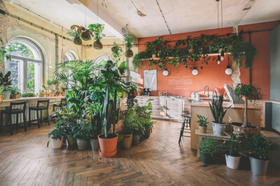 Preview image of “Urban Jungle”