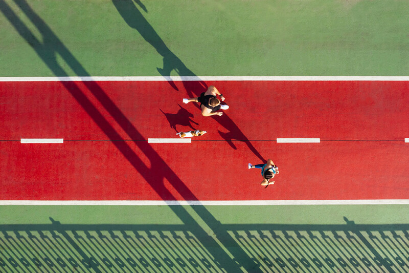 Preview image of “Drone Director”